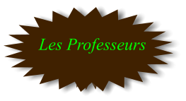 Les Professeurs